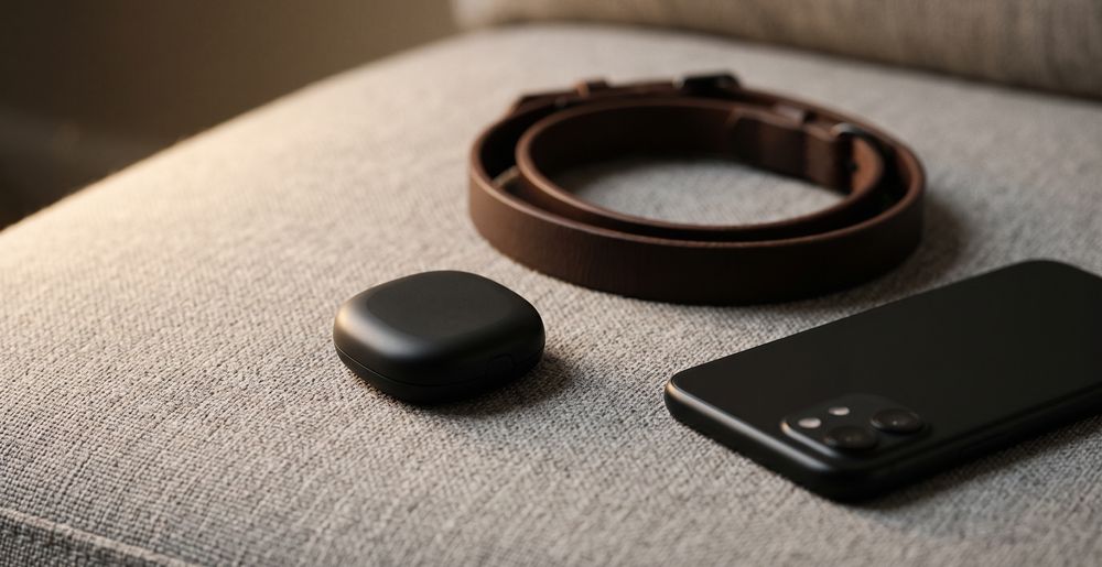 Best GPS Pet Tracker for Real-Time Location Tracking