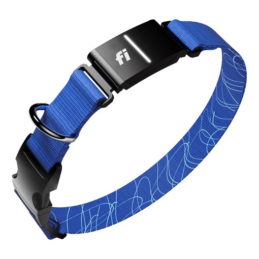 Fi Series 3+ smart dog collar with integrated GPS tracker module